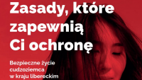 brožura foto